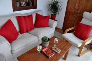 Fireplace, books, stereo - Ionia House,   Ephesus Holiday Rentals (Selçuk)