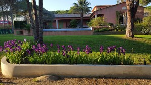 Ein angelegter Garten mit violetten Blumen, einer Palme und einem Gebäude mit einem Ziegeldach.