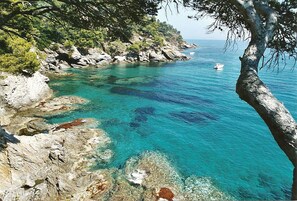 A coastal landscape with clear turquoise waters, rocky shores, and dense greenery. - Charming Apt. in a villa ideally located in a pine woods near the sea (Var)