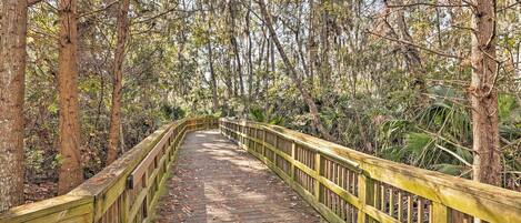 A wooden boardwalk surrounded by trees and foliage.