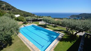 Una piscina rectangular con agua azul cristalina, rodeada por un deck de piedra y abundante césped verde.