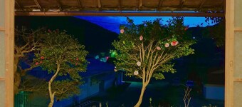 Guest House Kumanoyasai