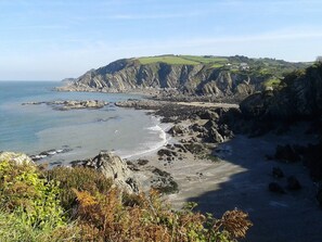 Beach - Strawfields. Fantastic rural location. Close to beaches. Games barn and Alpacas. (Ilfracombe)