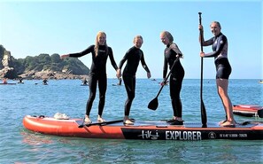 Fitness facility - Strawfields. Fantastic rural location. Close to beaches. Games barn and Alpacas. (Ilfracombe)