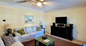 Smart TV, fireplace, DVD player, books