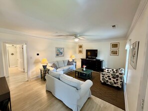 Smart TV, fireplace, DVD player, books