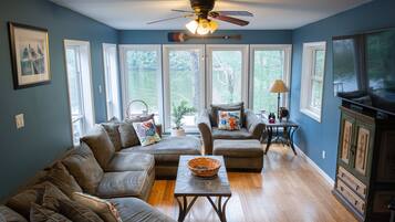 Smart TV, chimenea y reproductor de DVD