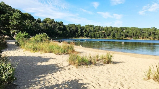 Une plage de sable fin bordée d’un lac paisible, le tout entouré d’une végétation luxuriante.