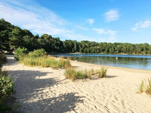 Beach nearby - Perfectly Content: Walk to Schoolhouse Pond (Chatham)