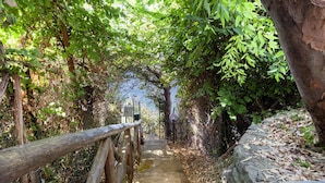 Un sendero de piedra que atraviesa una zona boscosa, con una cerca de madera a un lado y un muro de piedra al otro.
