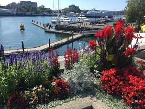 A marina with boats docked, a dock extending into the water, and a variety of colorful flowers in the foreground. - LOCATION LOCATION LOCATION! IMMACULATE 1 BEDROOM SUITE-ULTRA PRIVATE AND UNIQUE! (Victoria)