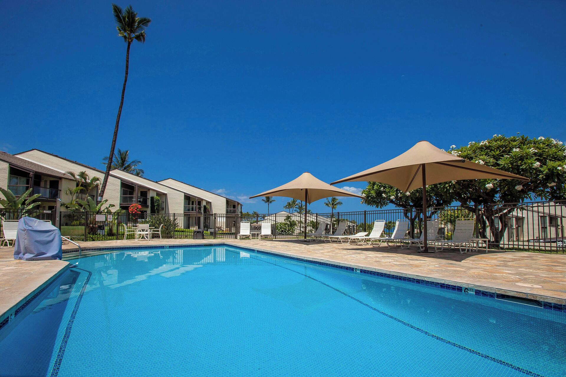 A swimming pool with lounge chairs and umbrellas, surrounded by buildings and palm trees.