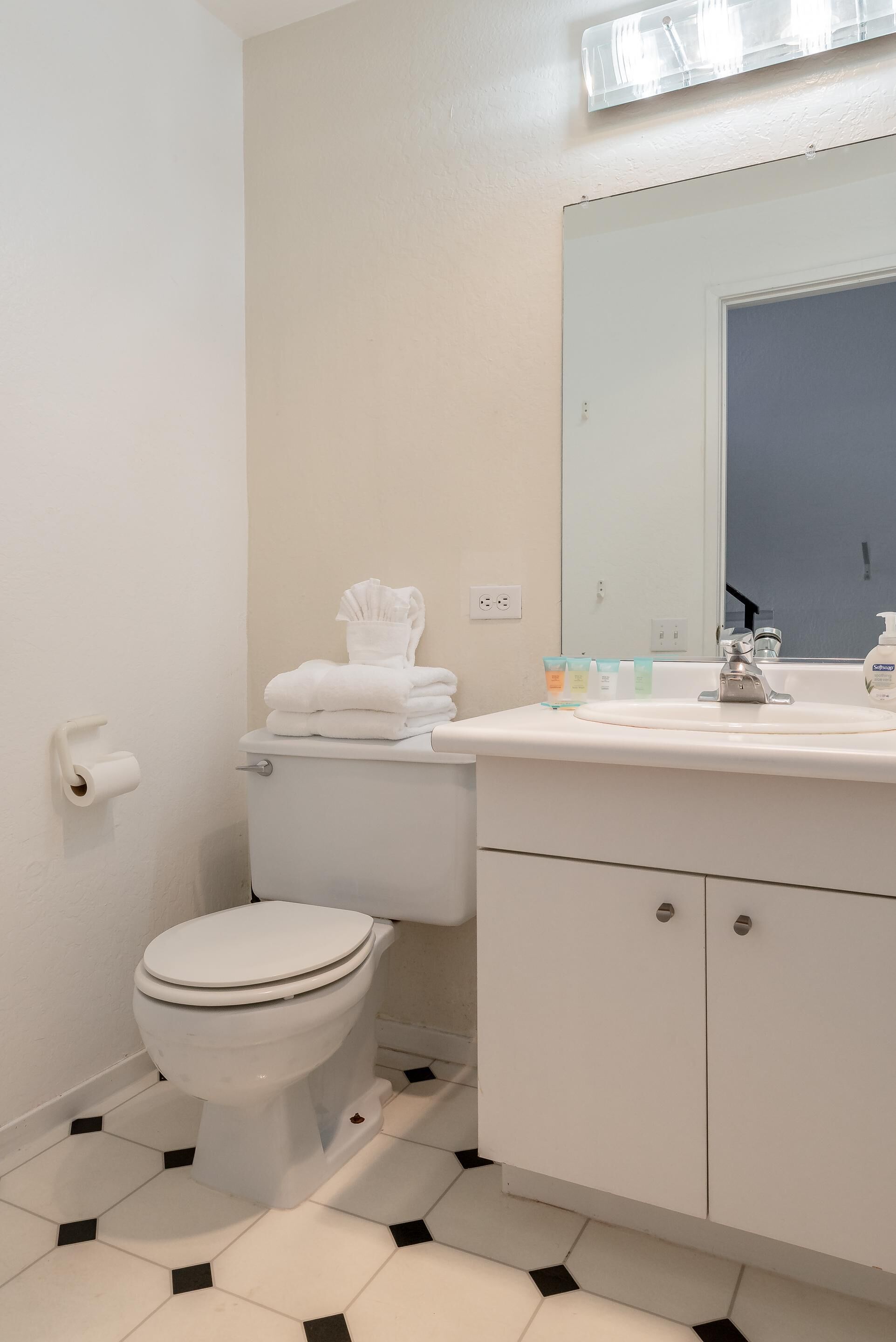 Une salle de bain avec des toilettes, un lavabo et un miroir.