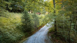 A gravel path through a forest with a small cabin in the background. - Hot Tub, Views, Romantic Outdoor Lounge Area (Todd)