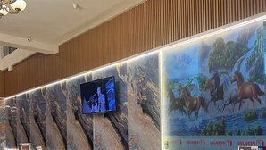 Unclassified image, 4 of 34, button - Penuin Hotel (Batam)