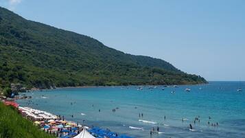 Una spiaggia nelle vicinanze