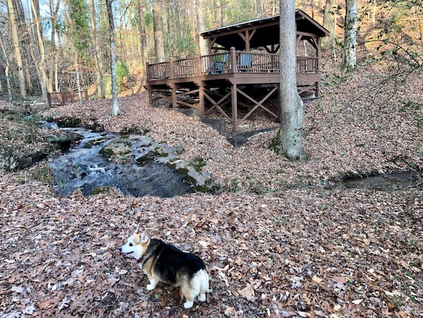 A cabin with a wooden deck overlooking a stream in a forested area.