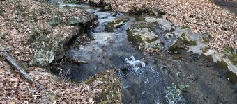 Charming Farmhouse on Beautiful Horse Farm