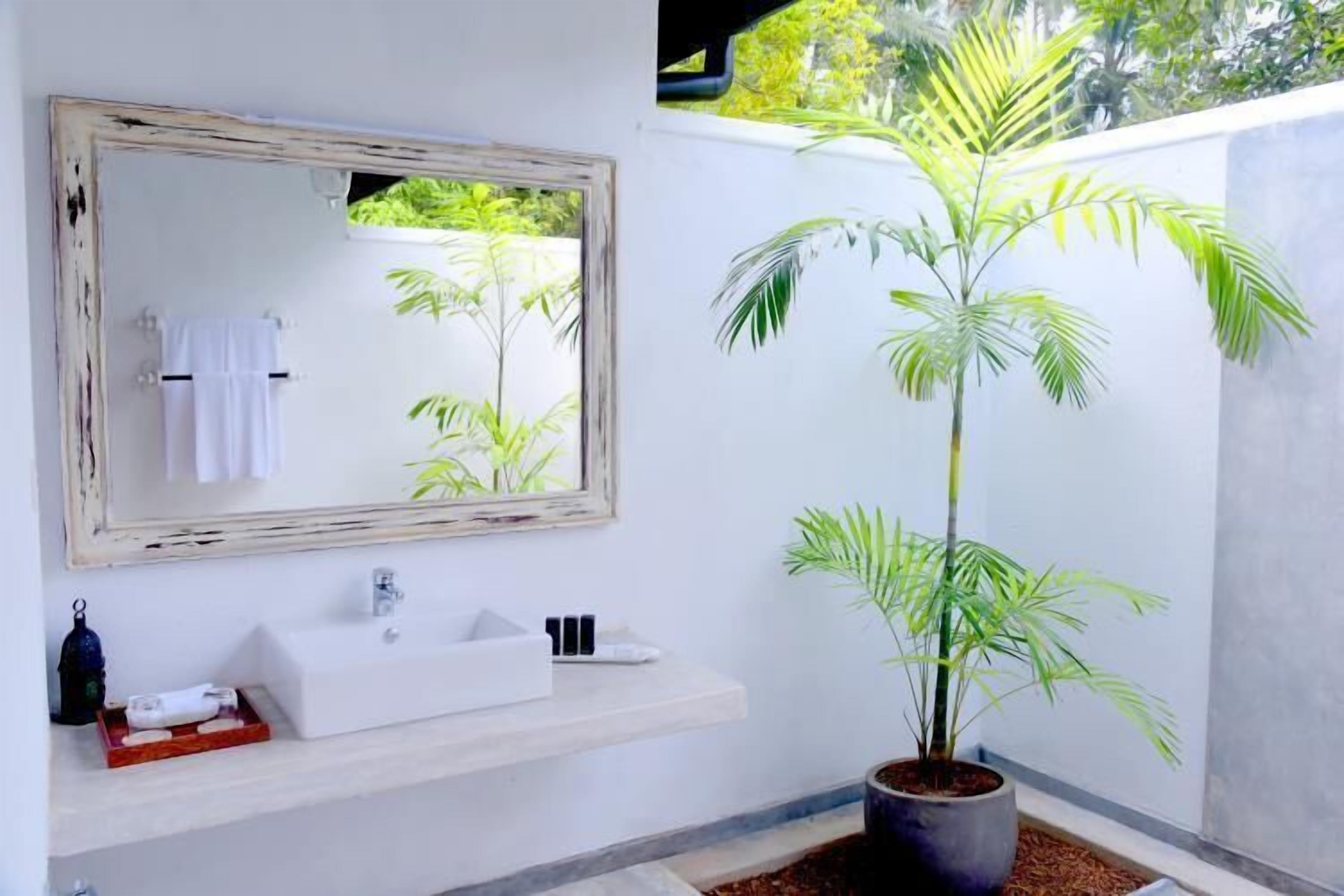 Un baño con un lavabo blanco, un espejo con marco envejecido y una planta en maceta.