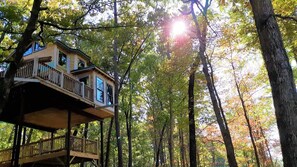Exterior - High Hope Tree House #1 @Spring Lake Ranch (Potosi)