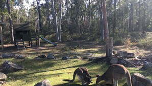 Un espacio natural al aire libre con rocas, césped y un parque infantil.