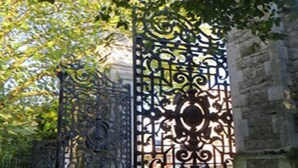 A wrought iron gate with intricate designs, leading to a stone wall.
