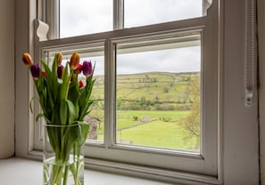 A window with a view of a green field and a stone wall.