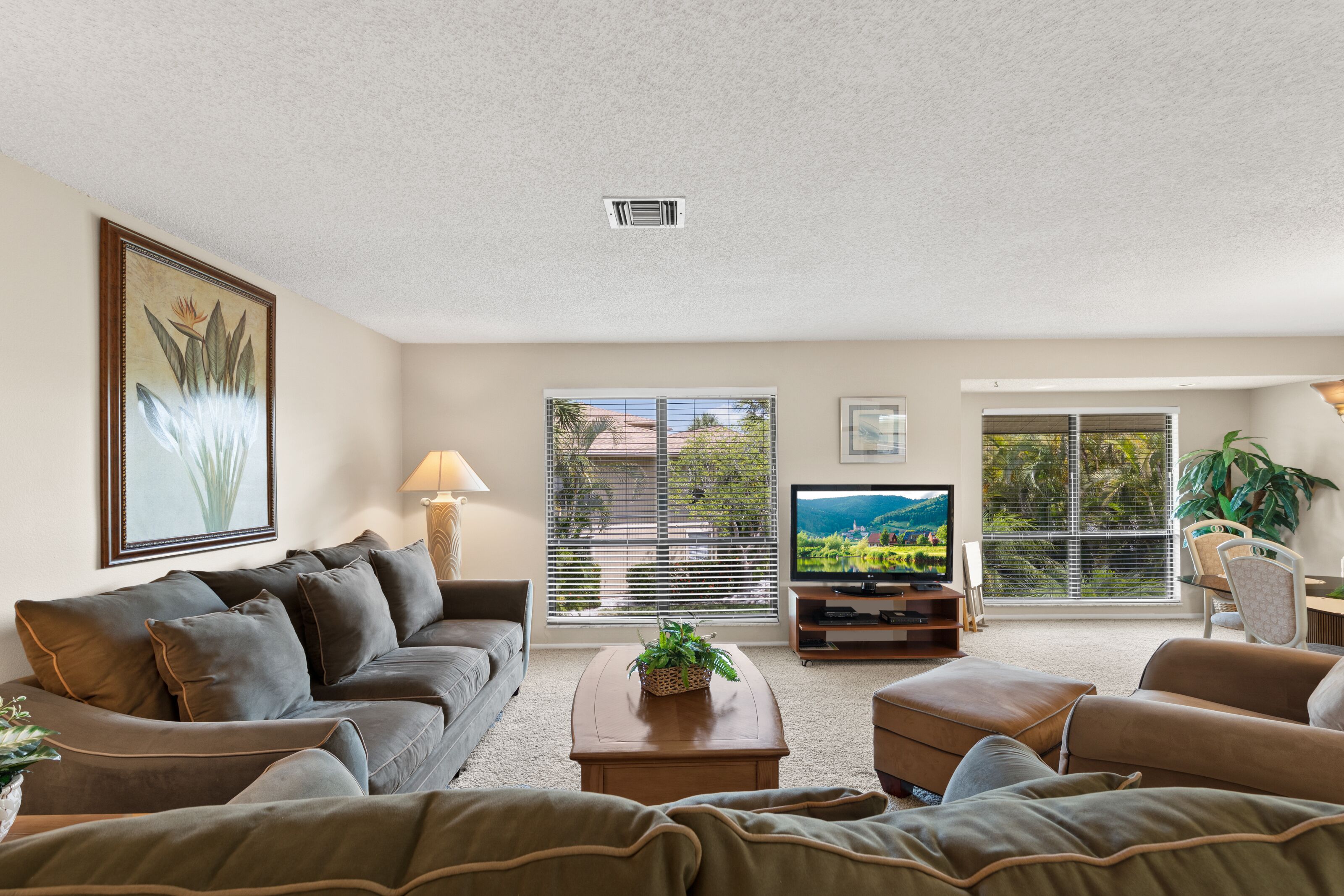 Living Room Pic 2