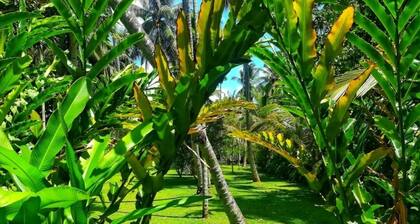 Old Parkland Hostel near the city center