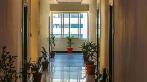 Un largo pasillo bien iluminado con plantas en macetas a ambos lados, que conduce a un ventanal grande al final.