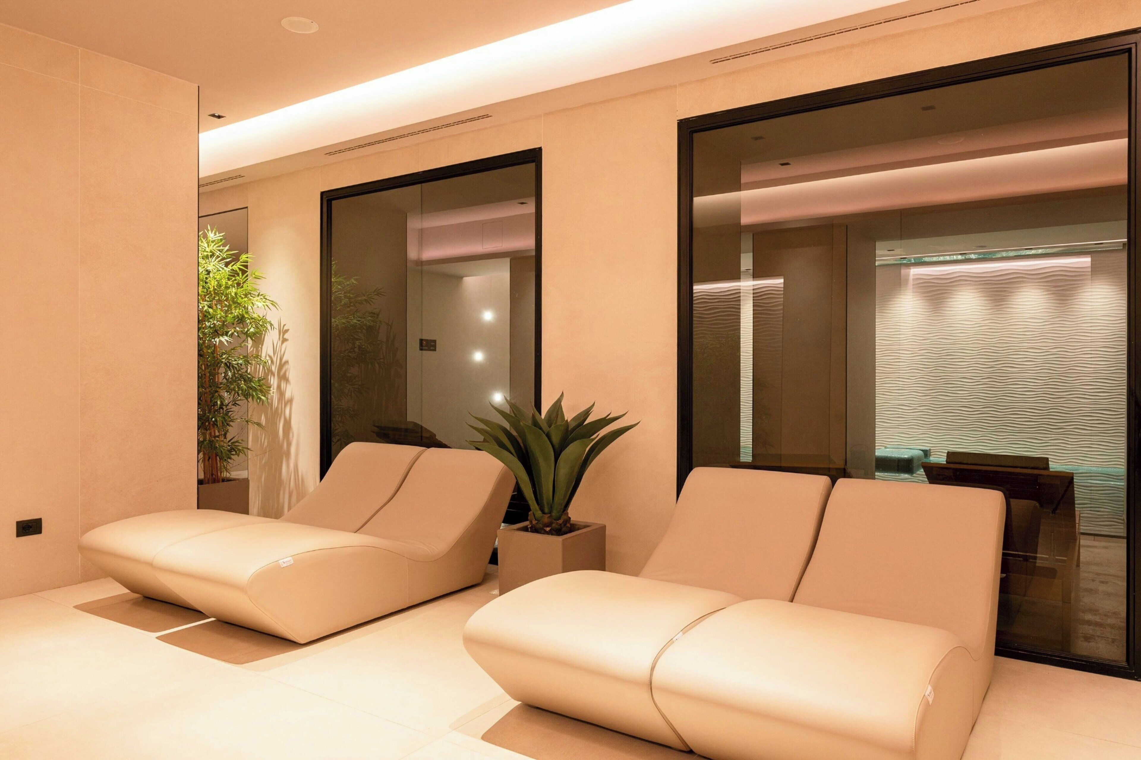 Une pièce moderne avec deux canapés, une plante en pot et de grandes fenêtres.