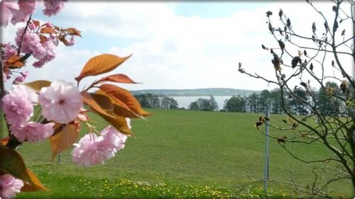 Apartment Mäckelborg on beautiful Woblitzsee - Apartment Mäckelborg