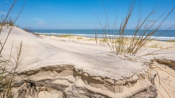 A beach with sand dunes and sparse vegetation. - Sand Pointe - Oceanfront Escape on 41st Street (Ocean City)