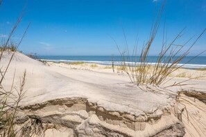 A beach with sand dunes and sparse vegetation.