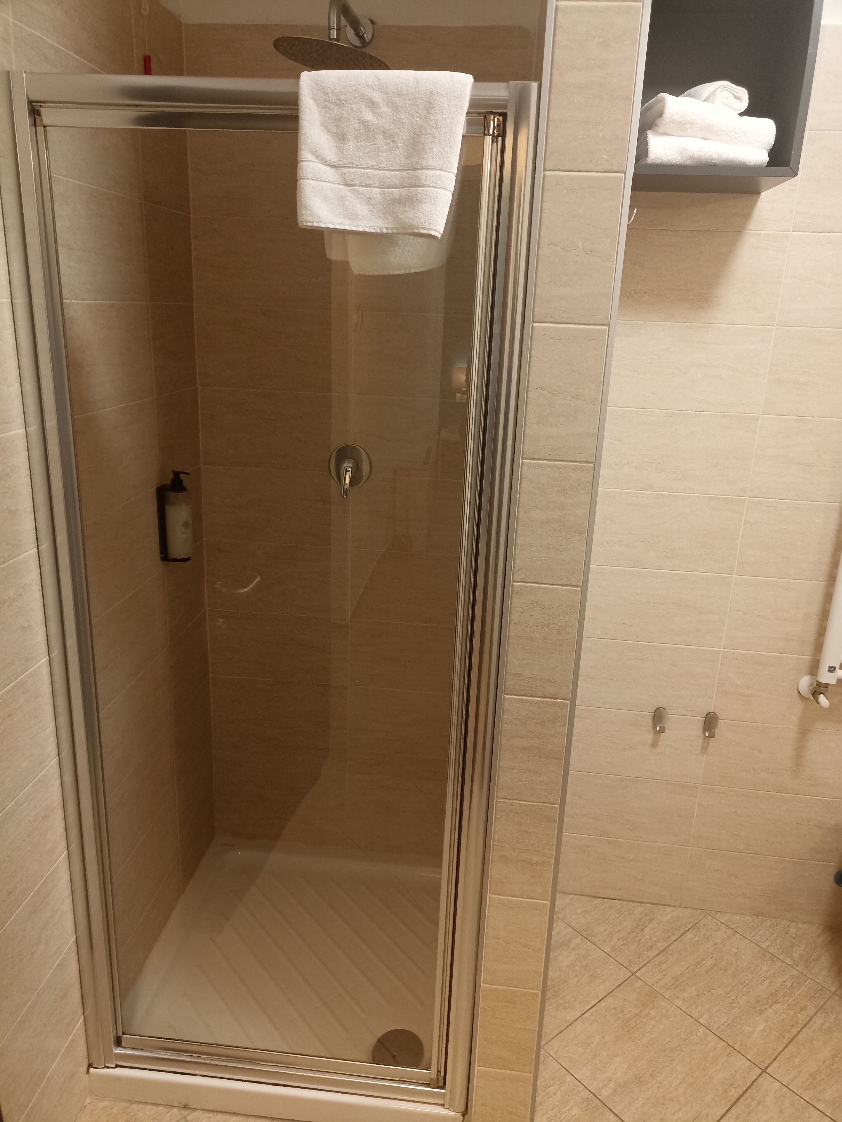 executive single room | bathroom | shower, free toiletries, hair dryer, bidet