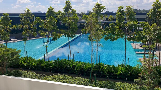 Une piscine rectangulaire à l’eau d’un bleu cristallin, entourée d’une végétation luxuriante et d’arbres.