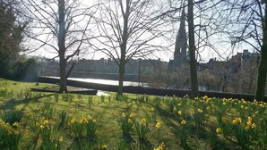 Un parc où l’on peut admirer des jonquilles jaunes, une rivière et un pont.