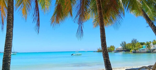 Plage, chaises longues, serviettes de plage
