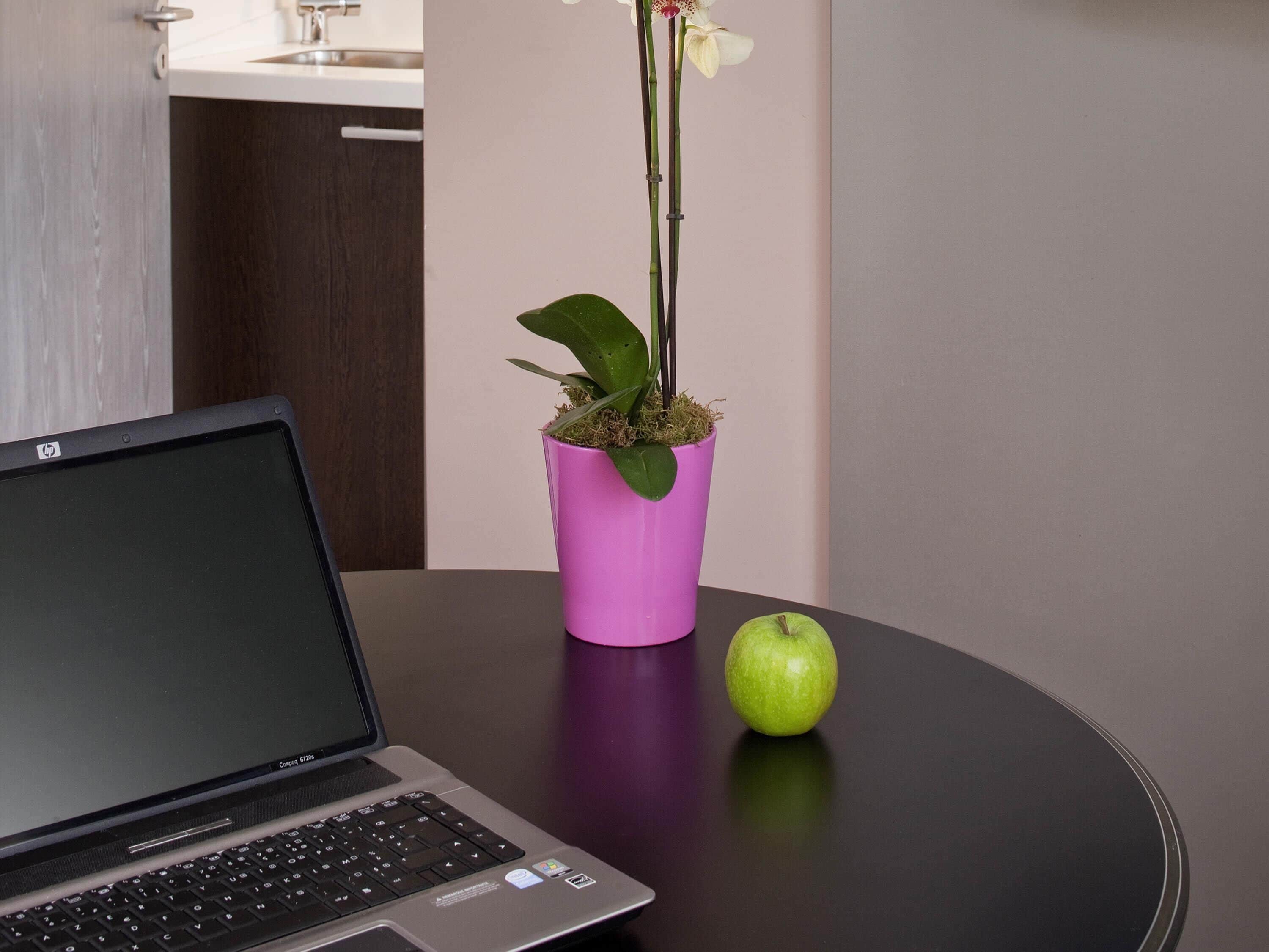 Ein Laptop auf einem Tisch, zusammen mit einem rosafarbenen Topf mit Pflanze und einem Apfel.