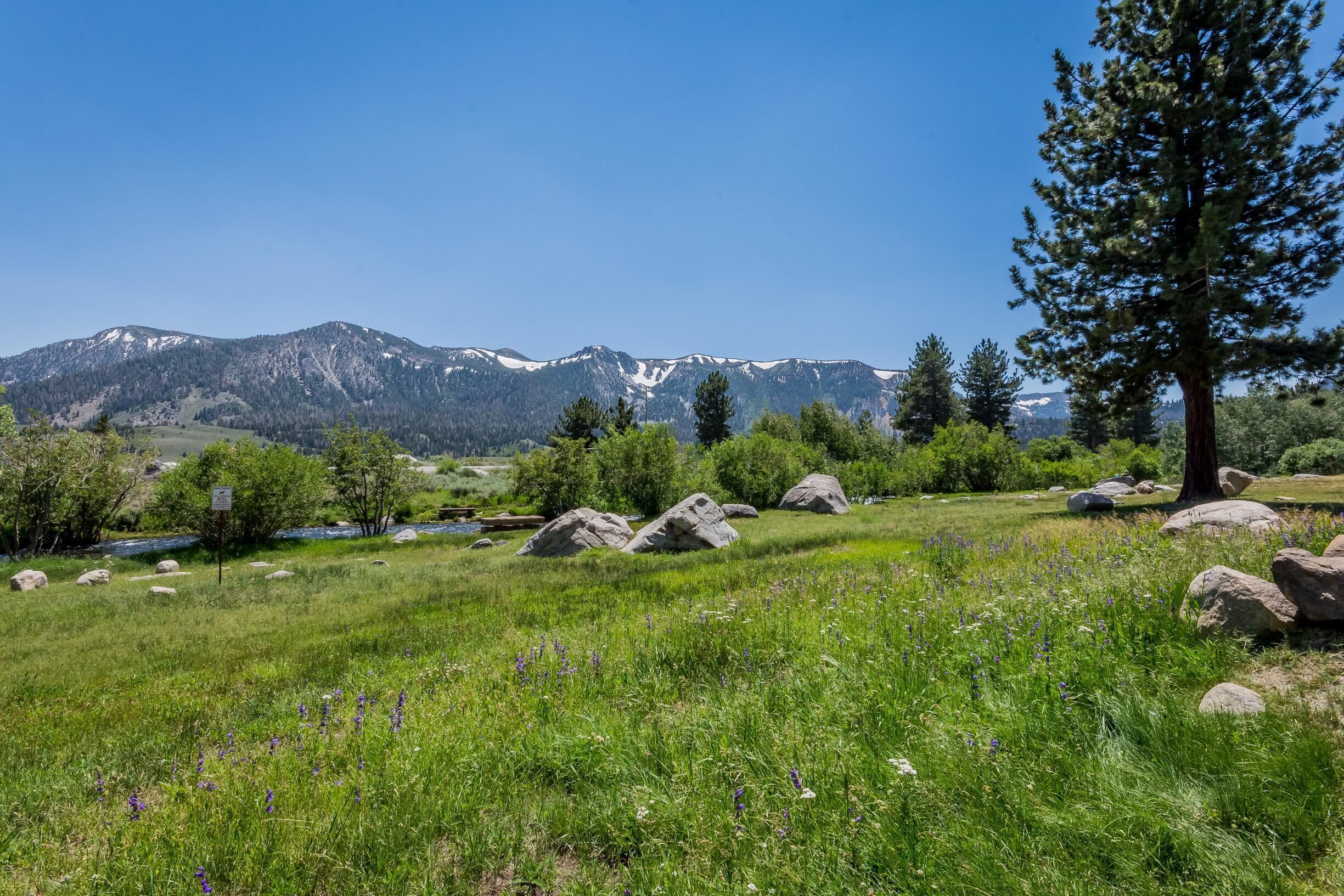 A mountainous landscape with a clear sky, green grass, and scattered rocks.