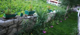 B&B Ljepurice