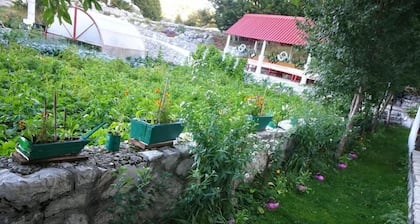 B&B Ljepurice