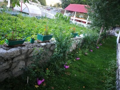 B&B Ljepurice