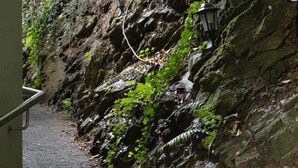 A stone pathway leading through a forested area with a metal railing on one side and a rocky cliff on the other.