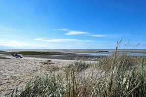 Beach nearby - Water Views! Walk to Beach Dogs Welcome! (Brewster)