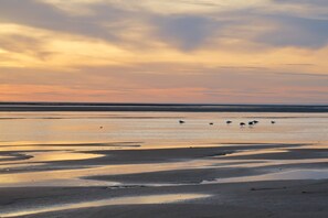 Beach nearby - Water Views! Walk to Beach Dogs Welcome! (Brewster)