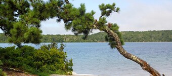 Water Views! Walk to Beach Dogs Welcome!