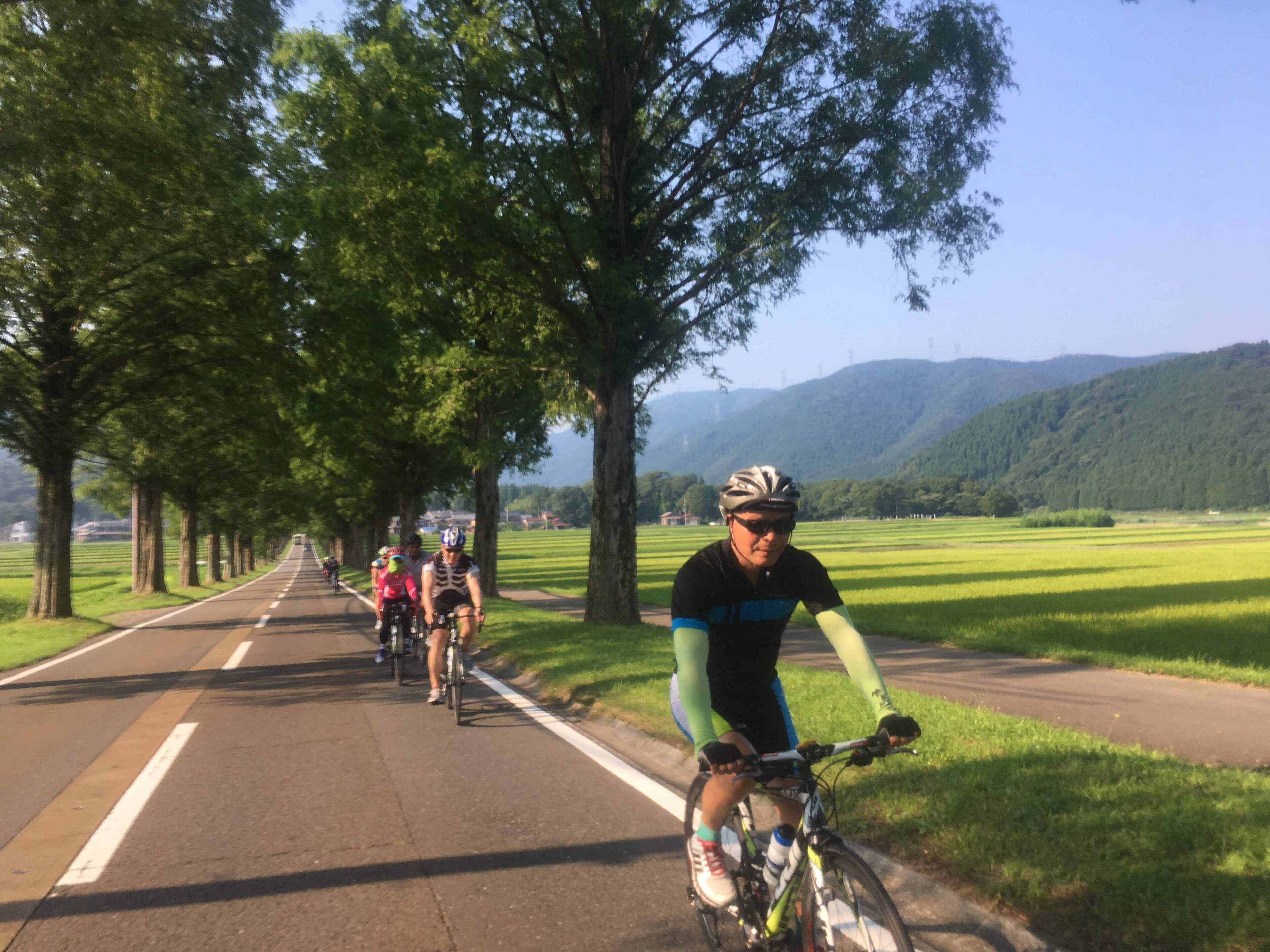 A cyclist on a paved path with trees on one side and open fields on the other.