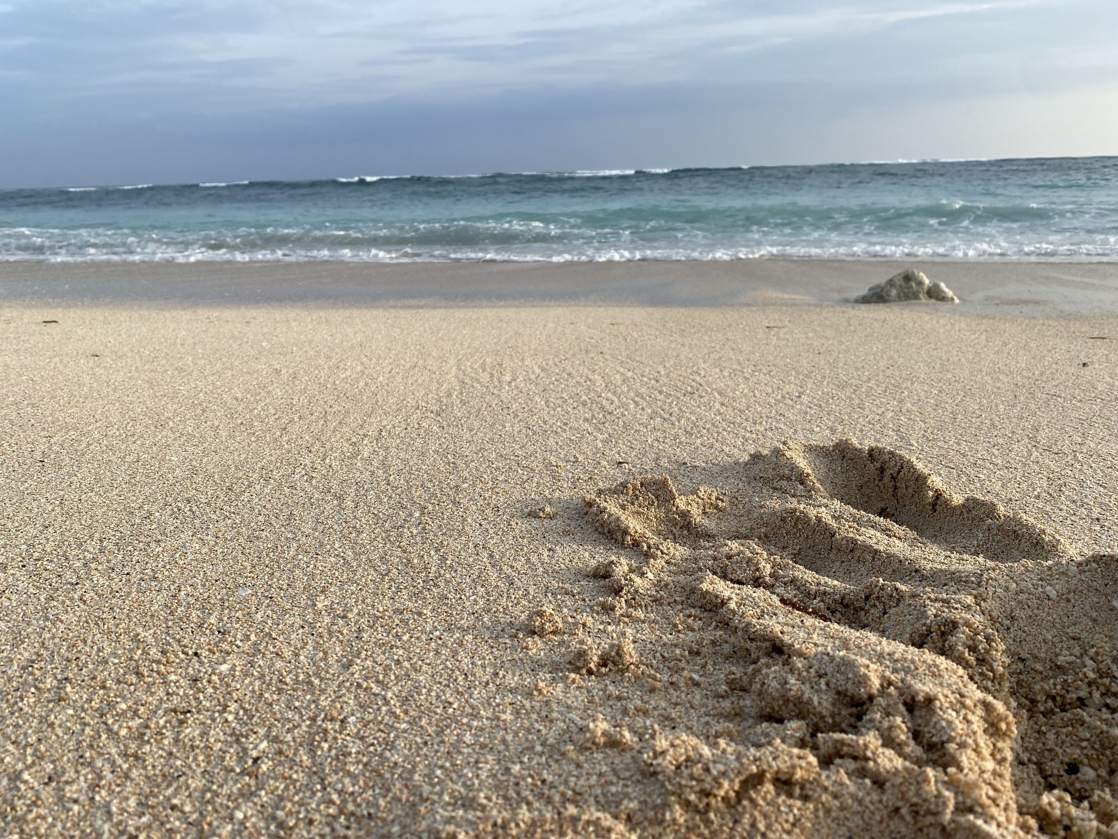Solsenger og strandhåndklær