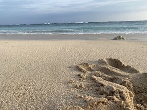 Sun-loungers, beach towels - Private villa; big garden and 3  BR, outdoor pool, internet, daily cleaning  (nusa dua)